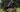 Horse Riding: A Complete Beginner’s Guide to Skills, Safety, and Equestrian Lifestyle
