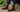 Are Goodyear Welted Boots Worth Buying? A Complete Buyer's Guide