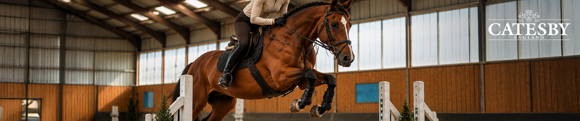 How to Get Better at Horse Riding: A Practical Guide for Everyday Ride